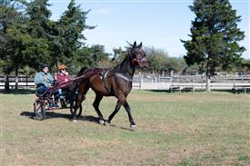 LR-WRF 10182025 Retreat-6417